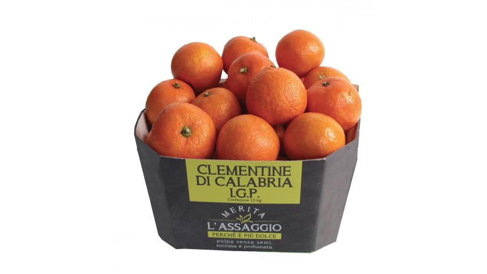 CLEMENTINE FOGLIA IGP