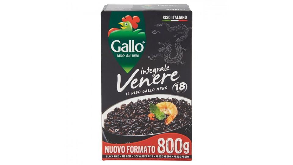 Gallo drink con riso venere