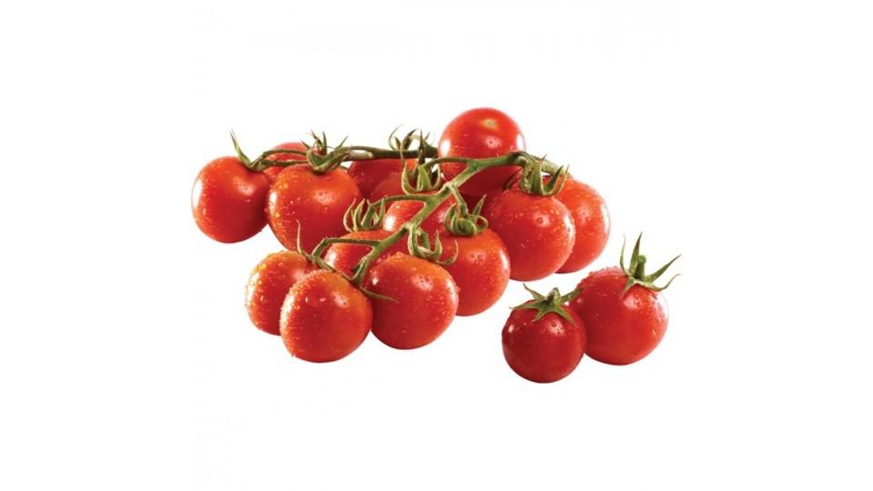 POMODORI CHERRY