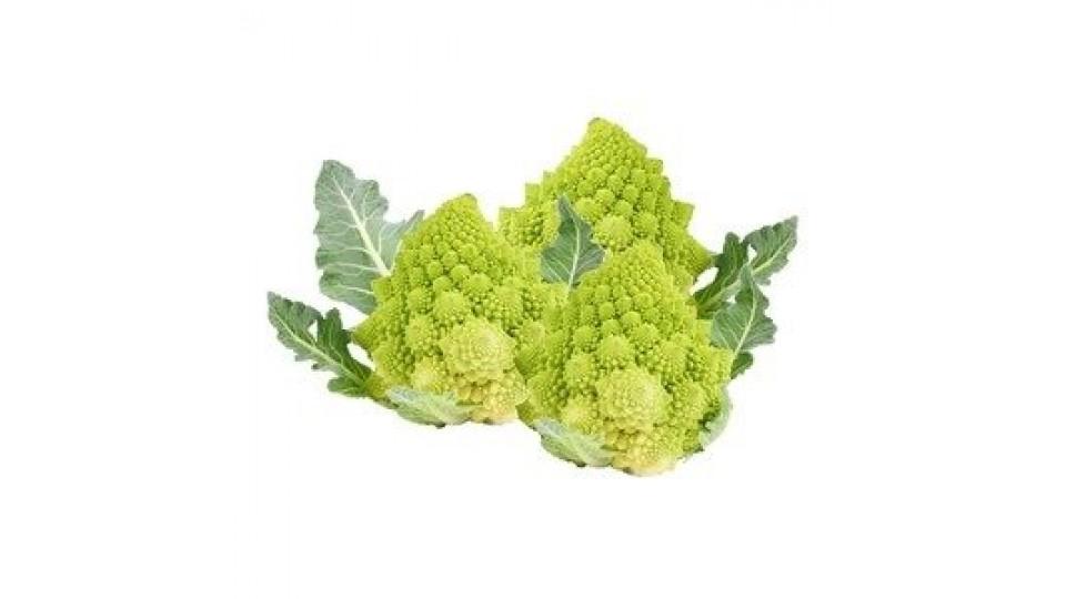 broccoli verdi