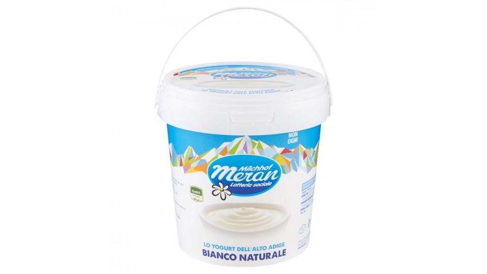 YOGURT INTERO BIANCO