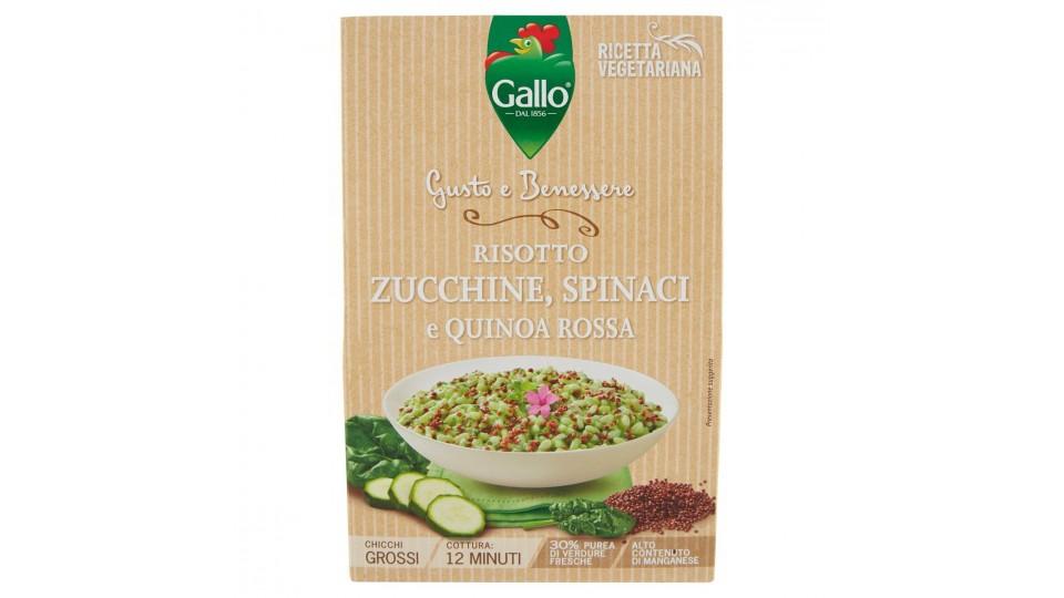 RISO PRONTO ZUCCH. SPINACI QUINOA