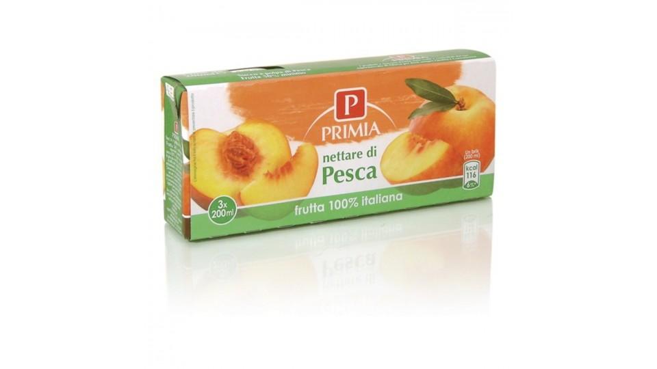 NETTARE PESCA