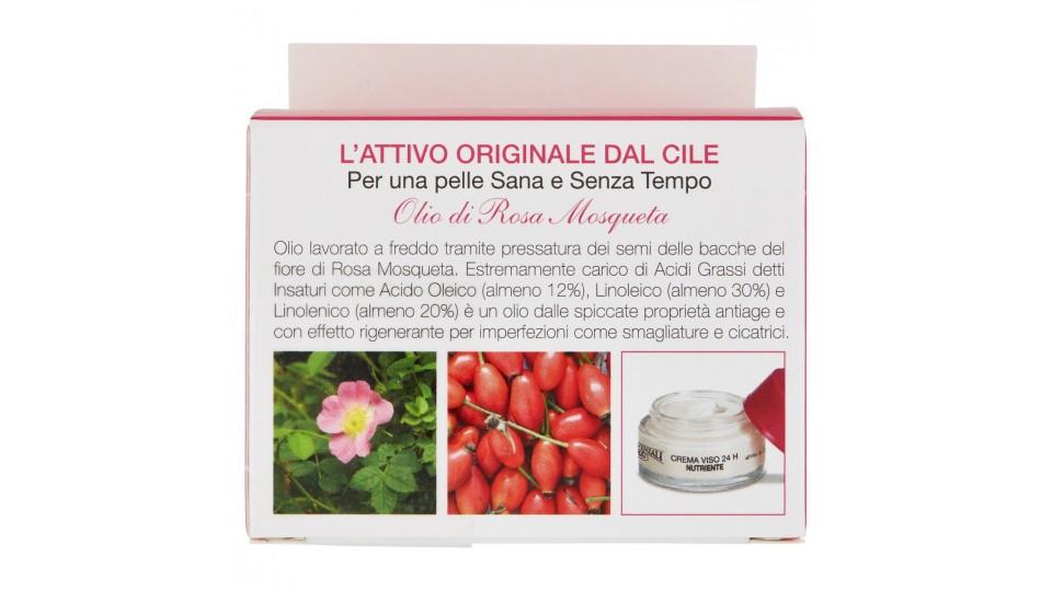 CREMA IDRATANTE ROSA MOSQUETA BIO