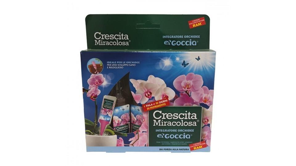 CRESCITA MIRACOLOSA GOCCE ORCHIDEE