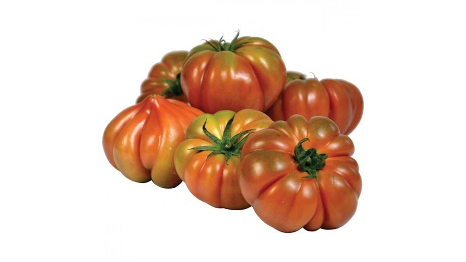 Pomodoro Costoluto