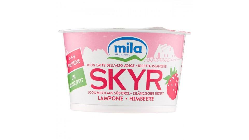 Skyr Lampone