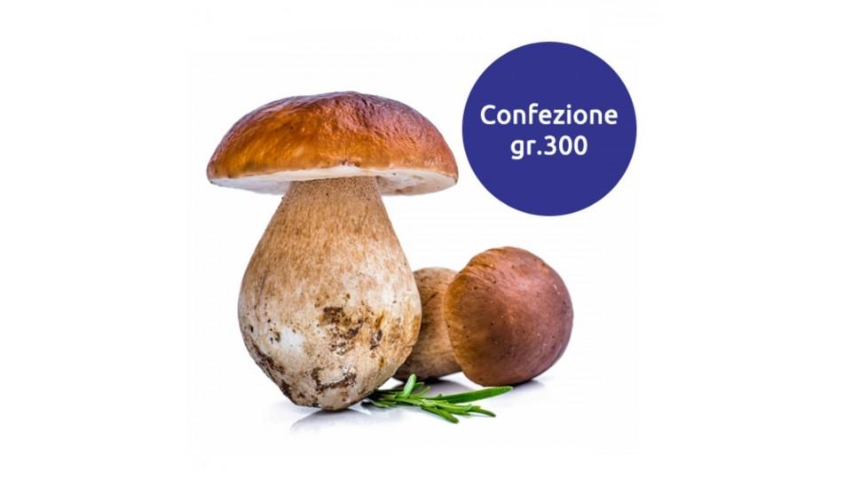 Funghi Porcini