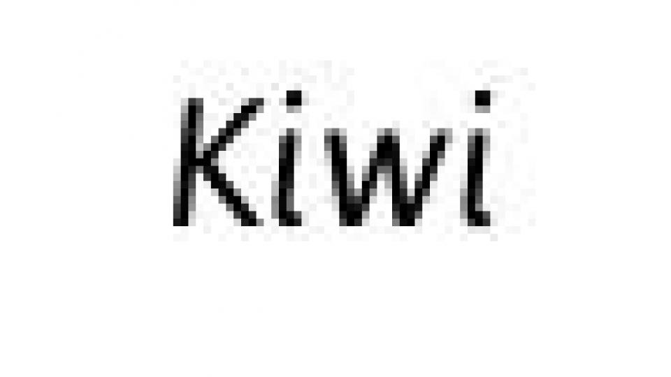 Kiwi a Pezzi