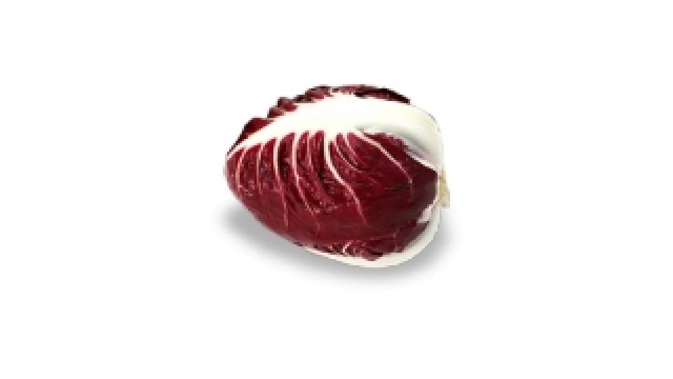 Radicchio Semilungo Rosso