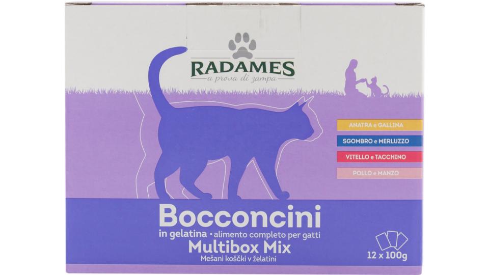 Boccini per Gatto in Gelatina Multibox Mix