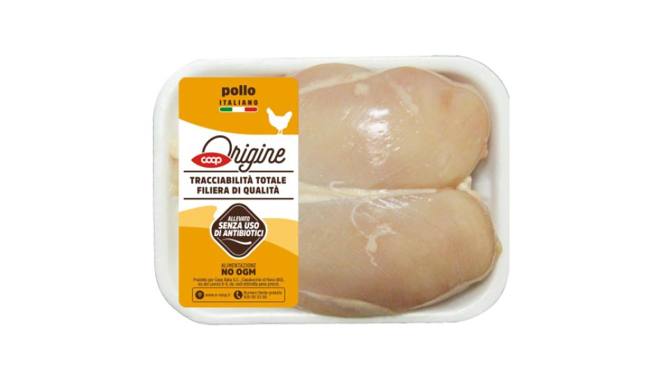 Petto di Pollo 500 g Ca