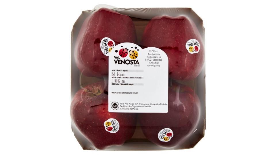 Mela Alto Adige Igp Red Delicious 0,900 Kg