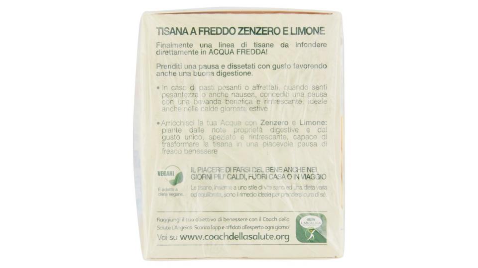 Nutraceutica Tisana a Freddo Zenzero e Limone Digestiva 15 Filtri 26,25 g