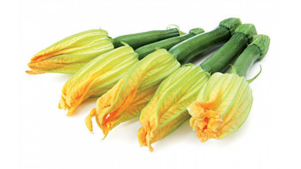 Fiori di Zucchine