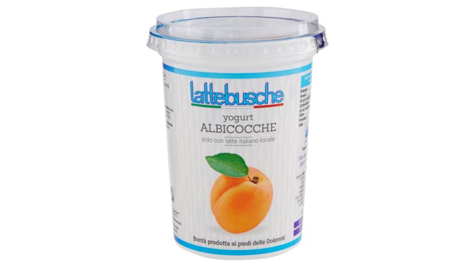 Yogurt Albicocche