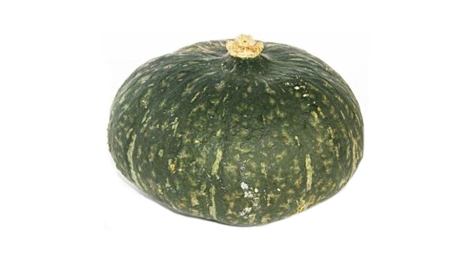 Zucca Verde