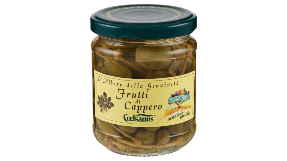 Selezione Speciale Frutti di Cappero