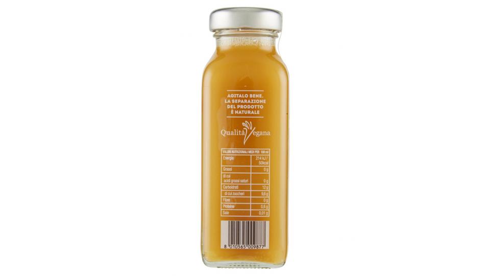Ananas Lime Zenzero 100% Succo Bio