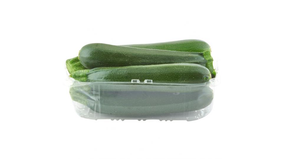 Zucchine Extra  Italia