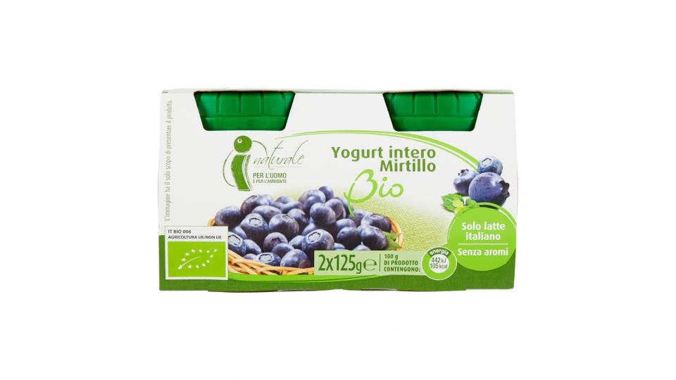 Yogurt Intero Mirtillo 2 x 125 g