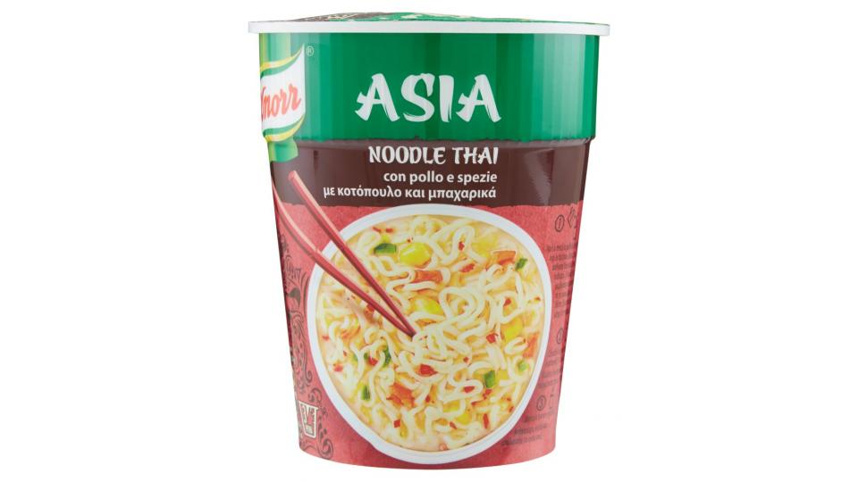 Asia Noodle Thai con Pollo e Spezie