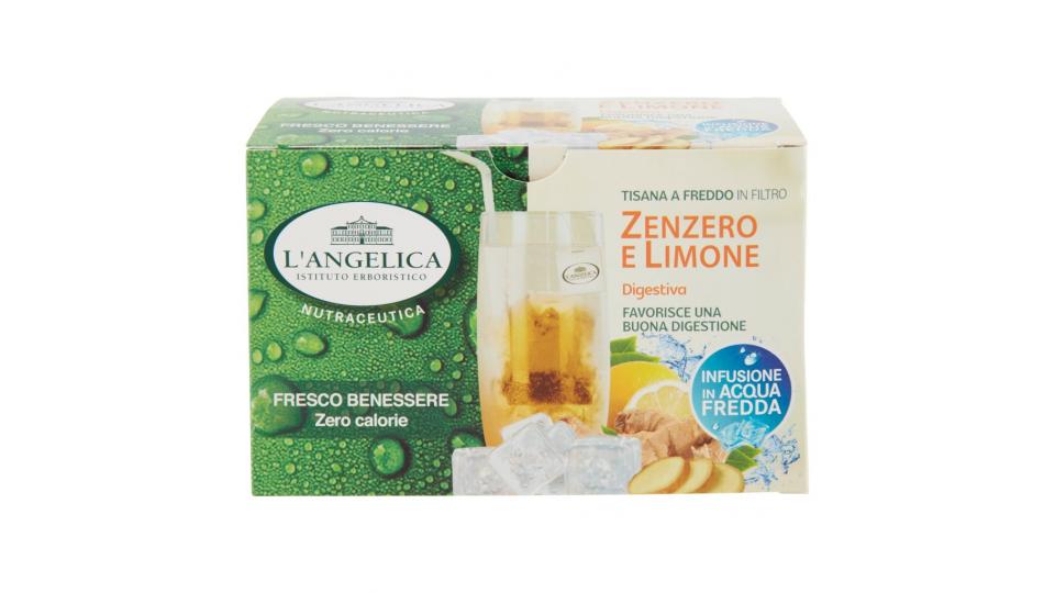 Nutraceutica Tisana a Freddo Zenzero e Limone Digestiva 15 Filtri 26,25 g