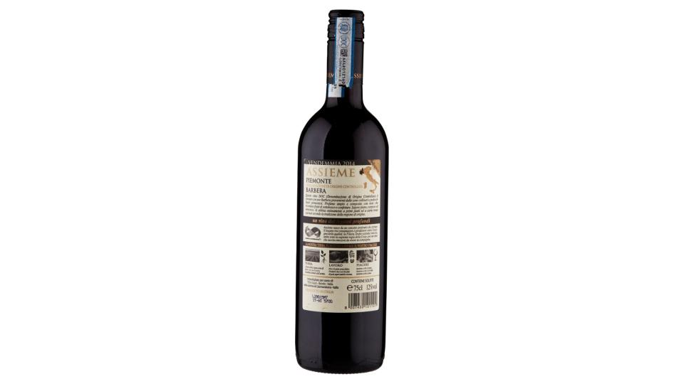 Assieme Barbera Piemonte Doc