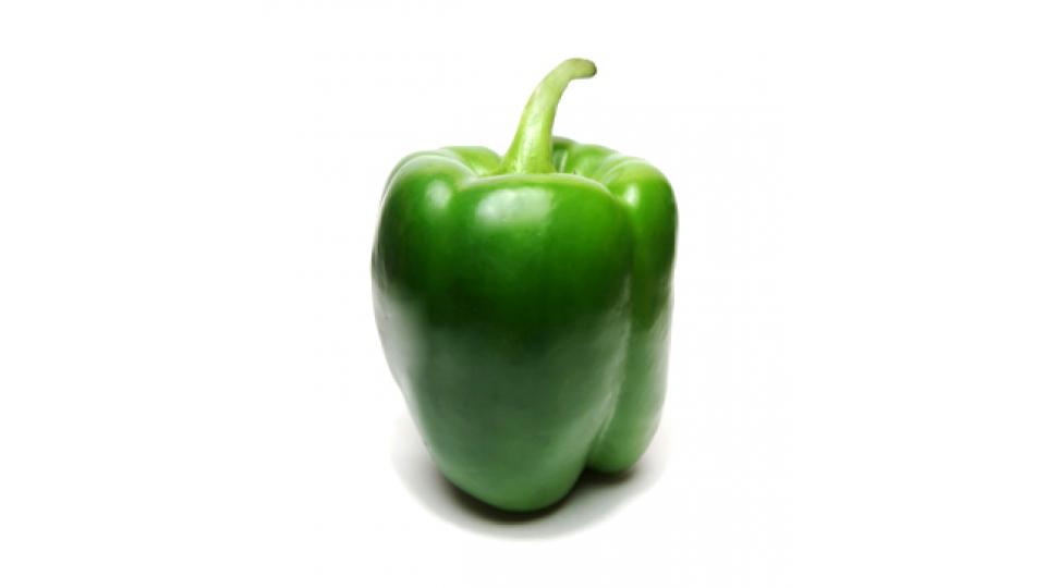 Peperone Verde Bio