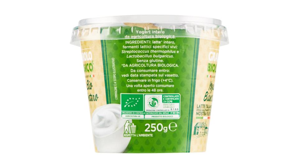 Yogurt Bio Bianco Intero