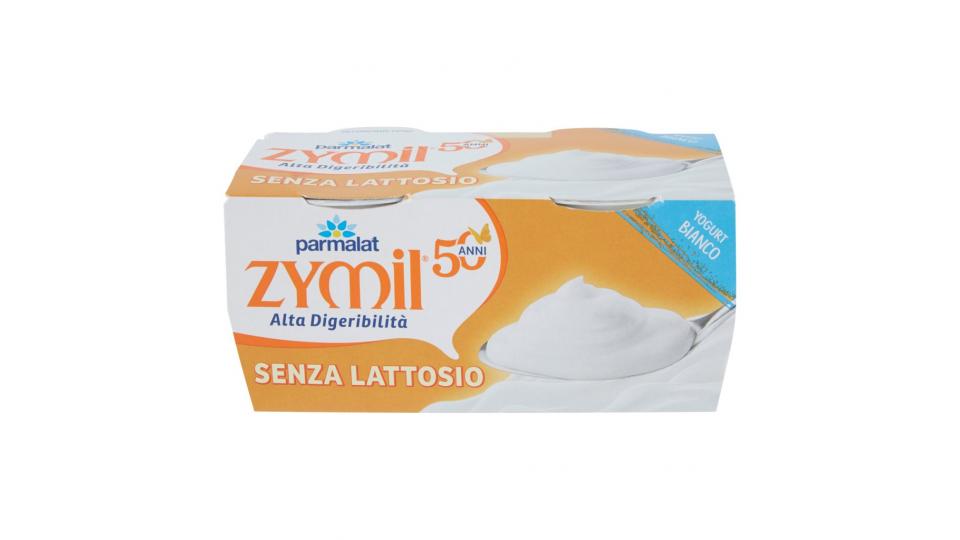 Alta Digeribilità Yogurt Bianco senza Lattosio