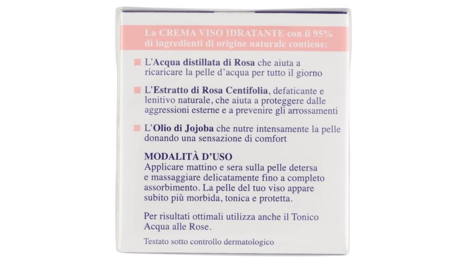 Idratante Crema Viso Lentiva Pelli Secche o Sensibili