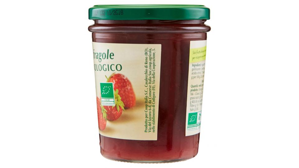 Fragole Biologico