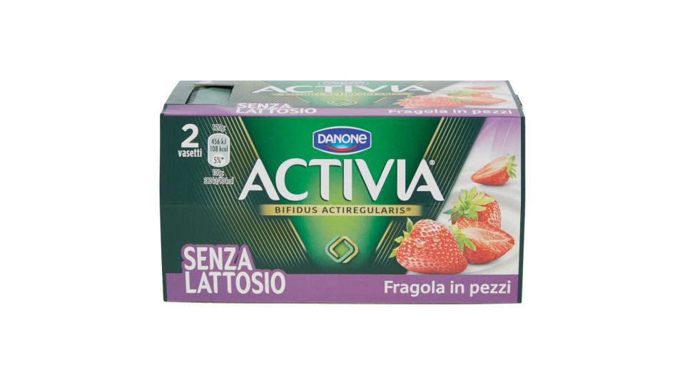 Senza Lattosio Fragola in Pezzi