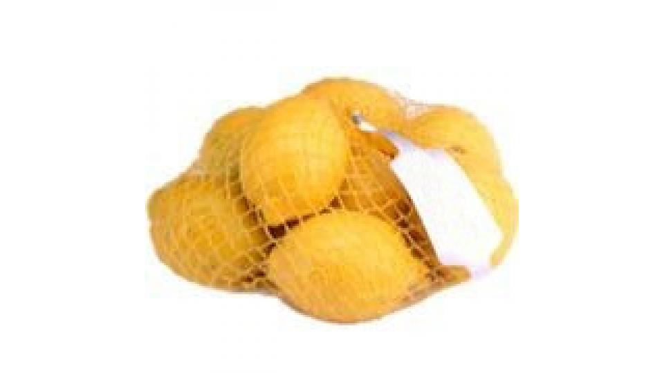 Limoni Calibro 4/5