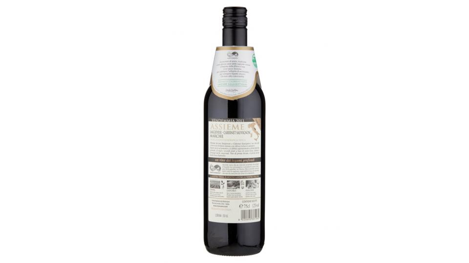 Assieme Sangiovese-cabernet Sauvignon Marche Igt