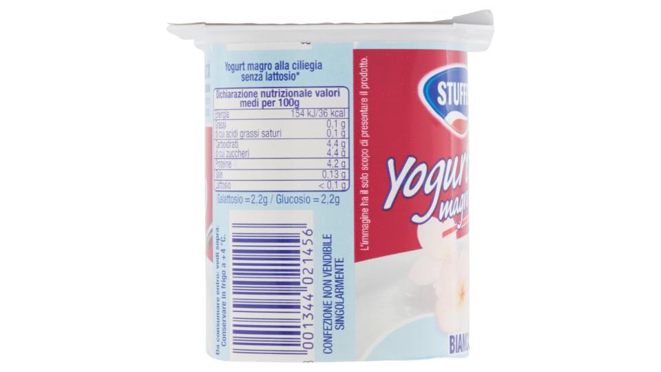 Liberi dal Lattosio Yogurt Magro 0,1% Bianco