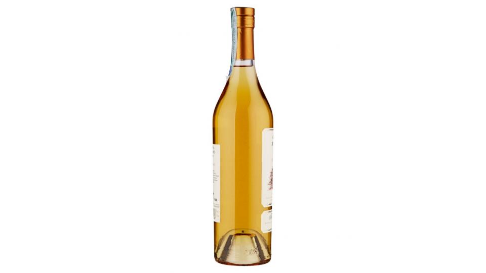 Grappa Moscato d'Asti Barricata