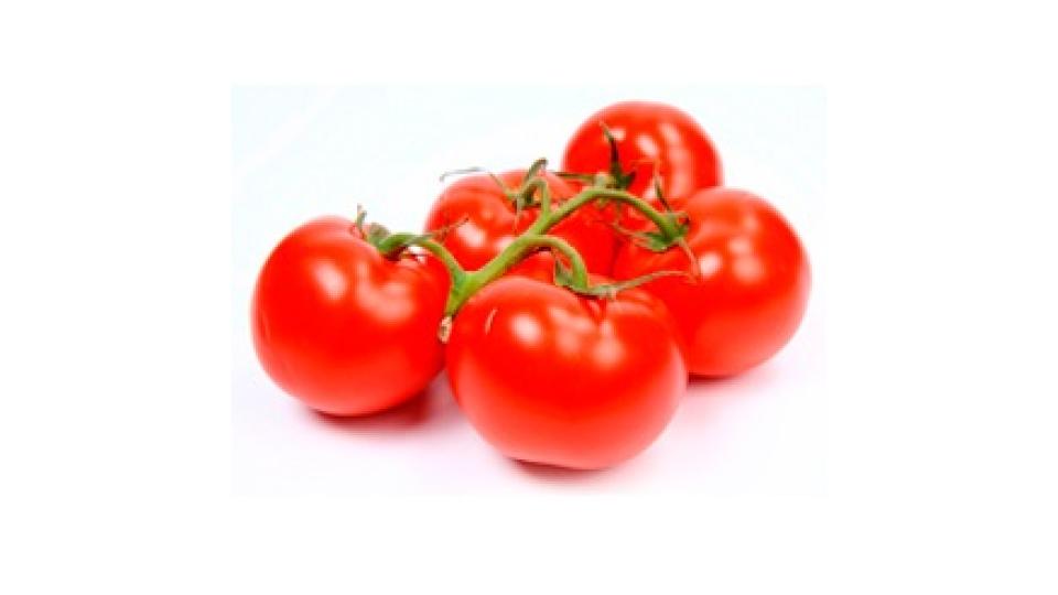 Pomodoro Rosso Cencara Spagna