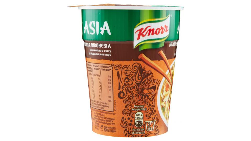 Asia Noodle Indonesia con Verdure e Curry