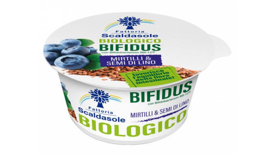 Yogurt Bio Bifidus Mirtilli Semi di Lino
