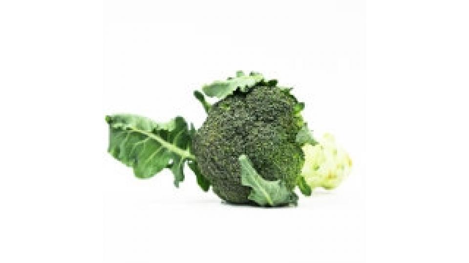 Broccolo Fiolaro 