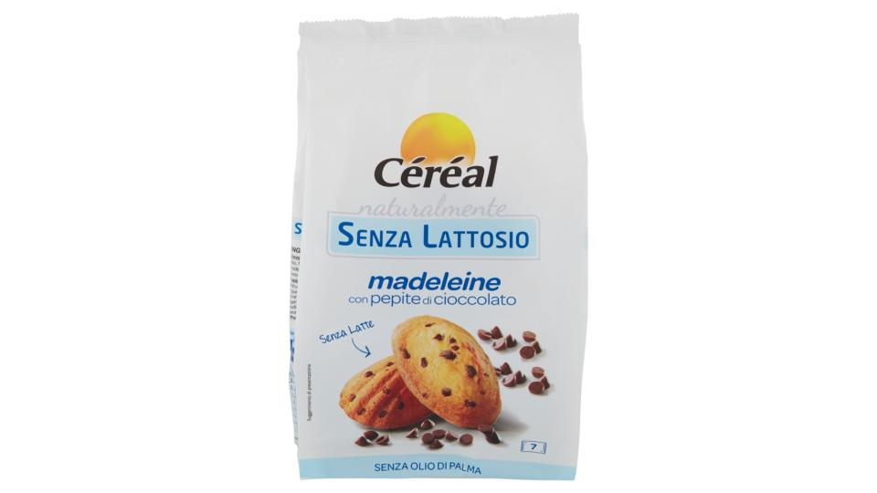 Naturalmente senza Lattosio Madeleine con Pepite di Cioccolato