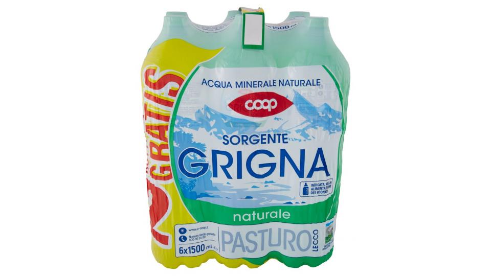 Sorgente Grigna Naturale 6 x 1500 Ml