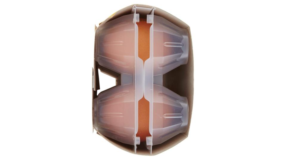 Fresche Medie da Allevamento a Terra