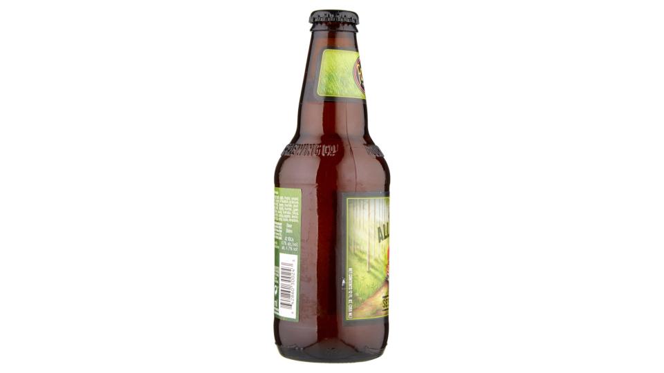 All Day Ipa Session Ale