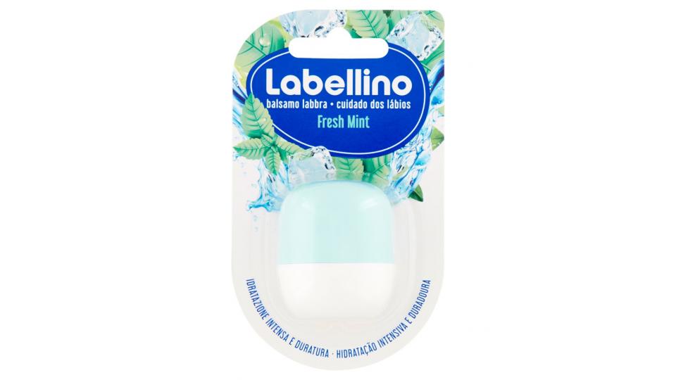 Balsamo Labbra Fresh Mint