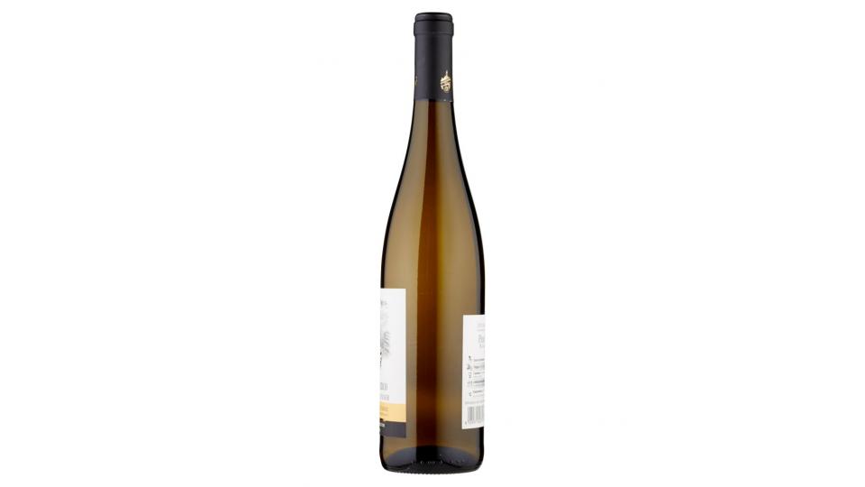 Pinot Bianco Weissburgunder Südtirol Alto Adige Doc