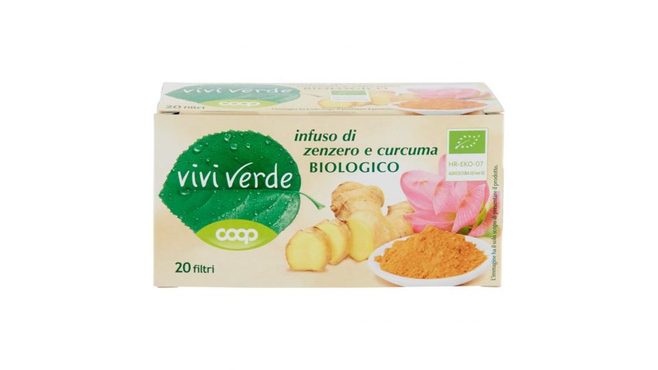 Infuso di Zenzero e Curcuma Biologico 20 Filtri