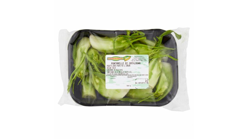 Puntarelle Catalogna Gr.250